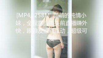 良家换妻泄密合集，极品轻熟女