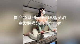 自家小母狗4