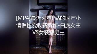 高清午后与雪白的情人爱爱