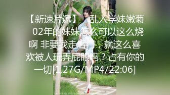 母犬调教 贤妻女仆的极致服务