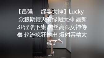 阴环母狗穿开档丝袜在马路边用按摩棒自慰