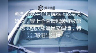 【全网最猛打桩机】半个小时连续打桩不停歇