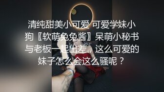 浪小辉系列：被反攻