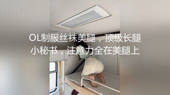 极品波霸女,酒醉的波妮