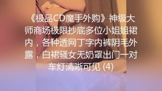 亚洲大乳无码一级毛片