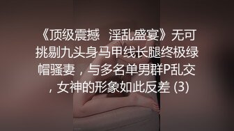 收集母狗了