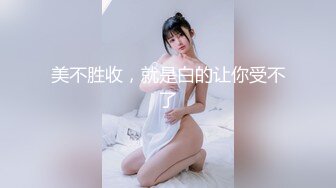 全自动榨汁机 一边看电视一边操