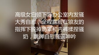 高级女白领下海办公室内发骚大秀自慰，全程露脸在狼友的指挥下脱掉奶罩和内裤揉捏骚奶，跳弹自慰骚逼呻吟