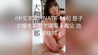 (中文字幕) [NATR-666] 息子の嫁を妄想で寝取る義父 池谷佳純