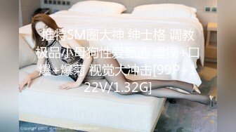 【解说】π668 离家出走的美人妻 DASD-353