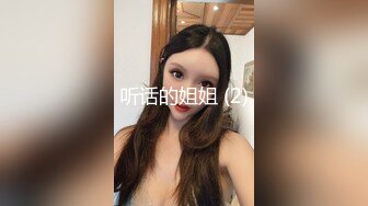 玩具插老婆2