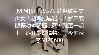 [MP4]STP32300 蜜桃影像传媒 PME105 用硬鸡巴导正虚荣外甥女 斑斑 VIP0600