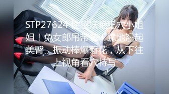 91大佬鹿与玫瑰海双飞玩肏女神级别究极反差婊姐妹花小仙女pussy有钱人的性福生活36V+95P