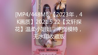 [MP4/448MB]【2023年，4K画质】2021.5.22【文轩探花】温柔小姐姐，平面模特，无水印收藏版