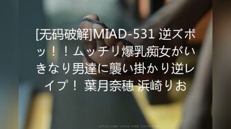 [无码破解]MIAD-531 逆ズボッ！！ムッチリ爆乳痴女がいきなり男達に襲い掛かり逆レイプ！ 葉月奈穂 浜崎りお