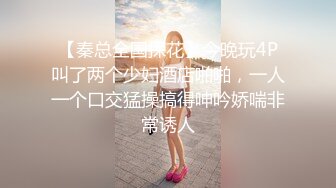 STP14250 【校花学妹初下海】扎着两个辫子颜值不错妹子，户外野战口交后入抽插，抬腿栏杆上操呻吟娇喘