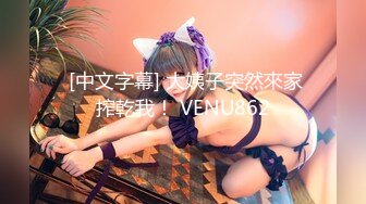  [中文字幕] 大姨子突然來家搾乾我！ VENU862