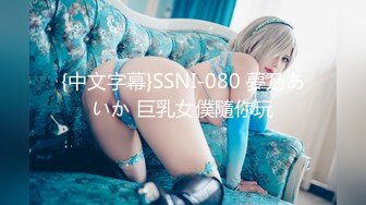 {中文字幕}SSNI-080 夢乃あいか 巨乳女僕隨你玩