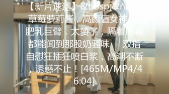 91经典系列资源整理合集P2【105V】 (1)